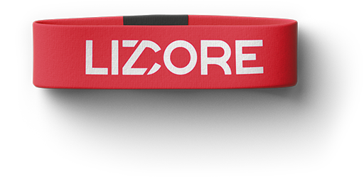 lizcore climber dashboard mobile app